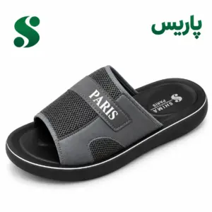 سرپایی مردانه پاریس 2 طوسی (45-40) 12زوجی